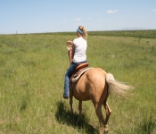 Montana2008 562